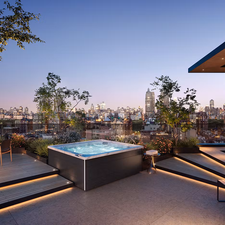 Swim Spa Image